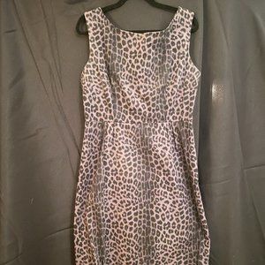 Trashy Diva by Candice Gwinn Grey Smoke Leopard Print Pencil Sheath Dress